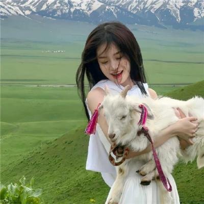 雪恨寻冤